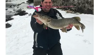 Giant Fish Caught on Barbie Rod!