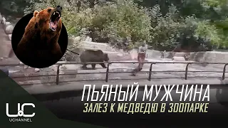 ПЬЯНЫЙ МУЖЧИНА ЗАЛЕЗ К МЕДВЕДЮ В ЗООПАРКЕ