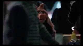 kermit breaks up with pig