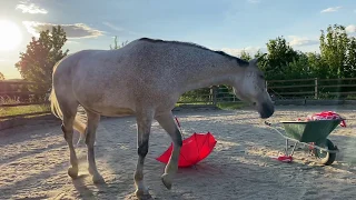 Rubjen & der Regenschirm