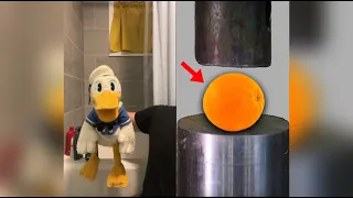 Donald Ducc FUNNIEST TikToks 9 (DONT LAUGH OR SMILE CHALLENGE)