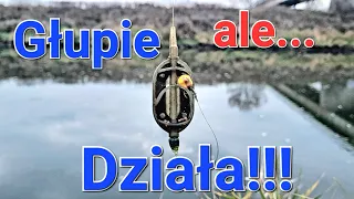 Głupie ale Działa! Method Feeder na Rzece! Wisła i zimne wędkarstwo!