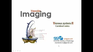 Imaging of cerebral veins (DRE) Prof. Mamdouh Mahfouz