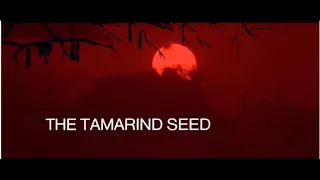 Wilma Reading- Play It Again - The Tamarind Seed (1974) Soundtrack