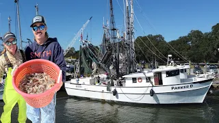 BIG SHRIMPIN’ part 2 🦐 Commercial Shrimp Boat Ride-Along (Catch and Cook)