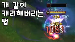 카직스로 개 같이 캐리해버리는 법