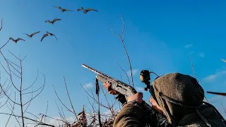 BEST SHOOTING. HUNTER SHOOT 1000 GEESE