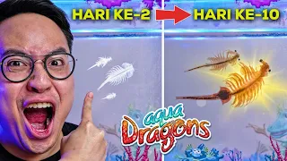 GUE MELIHARA AQUA DRAGONS SELAMA 10 HARI DAN INILAH YANG TERJADI..