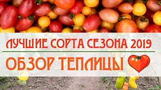 Лучшие сорта томатов сезона 2019