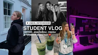 Дневник Студента VLOG 👩🏼‍🎓🇬🇧 сессия, дедлайны и нервы | тусовки и друзья