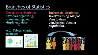 Branches of Statistics