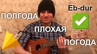 Антон Мизонов - Полгода плохая погода (Павел Смеян укулеле кавер Eb-dur)