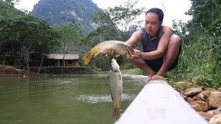 My Fish situation After 4 Years, Bring the fish back to the pond, They are so much bigger! - Ep.152