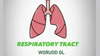 Pulmonary volumes and capacities | physiology of respiratory tract | physiology lec.4 part.1