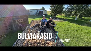 # 28 | Bulviakasio pabaiga | Nepavežam bulvių | Ruošiamės sėjai