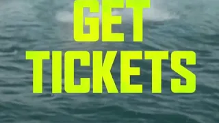 The Meg movie watch in Theaters