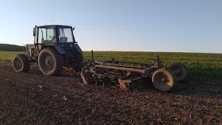 Поле після соняшника під СОЮ, ось такий РЕЗУЛЬТАТ передпосівної підготовки 2024!!!