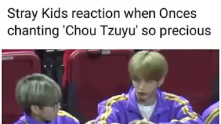 Stray Kids Jisung and Hyunjin reaction to Tzuyu Isac 2019