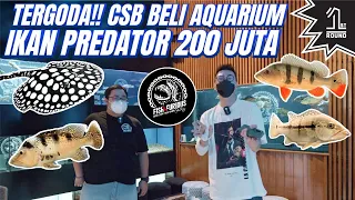 Ternyata Raffi & Baim Beli Ikan Predator di Fish & Furious! Ada Peacock Bass & Pari Black Diamond