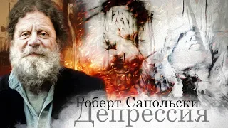 Роберт Сапольски — Депрессия [Vert Dider]