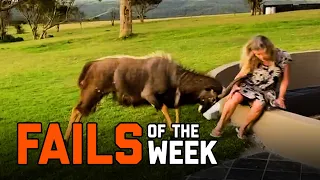 Back To Nature | Fails of the Week (February 2021)
