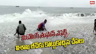 Cyclone Migjaum Effect : Fishes in Visakhapatnam Beach | Eha TV