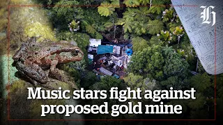 Music stars fight against proposed Coromandel gold mine | nzherald.co.nz