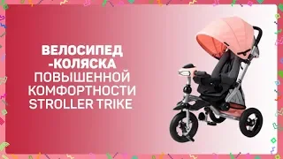 Трехколесный велосипед Moby Kids Stroller Trike для заботливых родителей. В чем секрет? Видеообзор.