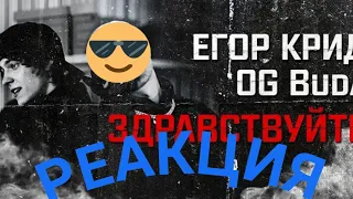 РЕАКЦИЯ НА ЕГОР КРИД - ЗДРАВСТВУЙТЕ ( feat OG Buda )