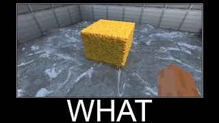 Minecraft realistic wait what meme, Lava, Water, Slime #517