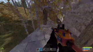 Rust with the homie duo modded server