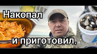 Открыли сезон морепродуктов. Копаем ракушку //СПИЗУЛУ//о.САХАЛИН.