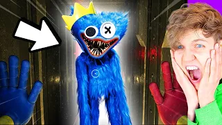 BEST POPPY PLAYTIME CHAPTER 3 VIDEOS! (RAINBOW FRIENDS FLY HACKS, ALPHABET LORE TRICKS, & MORE!)