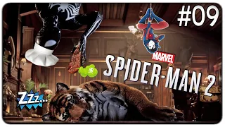 PETER DIVENTA UNA SPIA MA KRAVEN HA UNA TIGRE MOLTO AFFAMATA | Spider-Man 2 - ep.09