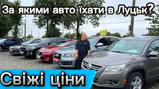 СВІЖІ ЦІНИ//25.09// За якими авто їхати в ЛУЦЬК❓Автобазар//Актуальні авто #автопідбір