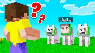 Which DOG Is The REAL JELLY? (Minecraft Guess Who)