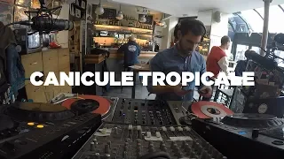 Canicule Tropicale • Vinyl Set • Le Mellotron