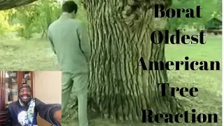 Borat Oldest American Tree REACTION