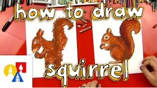 How To Draw A Squirrel + SYA