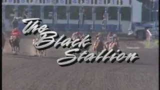 Adventures Of The Black Stallion Season 2 Opening Theme