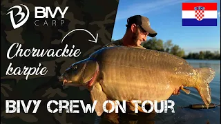 Chorwackie Karpie - Zajarki Zapresić - Bivy Carp VLOG