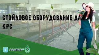 Стойловое оборудование для КРС