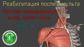 Растяжка спазмированных мышц после инсульта. Уменьшение спастики, подготовка к активным движениям.