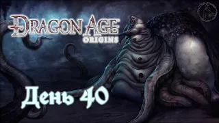 Dragon Age: Origins. Прохождение. Убежище Кадан-Фе (часть 40)