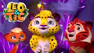 Leo and Tig 🦁 Magic World  - New animated movie - Kedoo ToonsTV