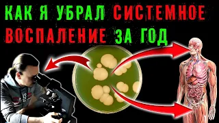 Как я убрал системное воспаление в своём организме