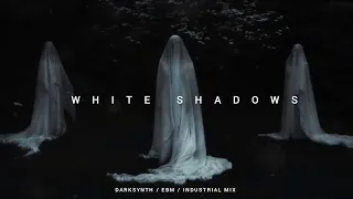 Darksynth / Cyberpunk / Dark Electro Mix 'White Shadows'