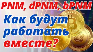 Phenomenal Club. Токены: PNM, dPNM, bPNM. Как они будут работать вместе? Что нужно сДелать сегодня?