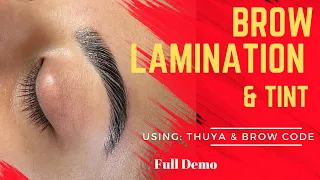 Brow Lamination|Thuya & Brow Code|#lamination