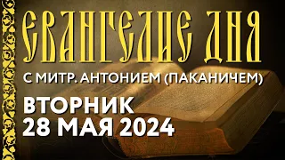 Вторник, 28 мая 2024 года. Толкование Евангелия c митрополитом Антонием (Паканичем).